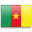 Flag Cameroon