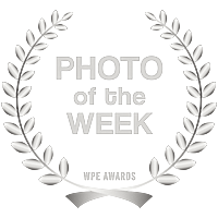 Photo of the Week