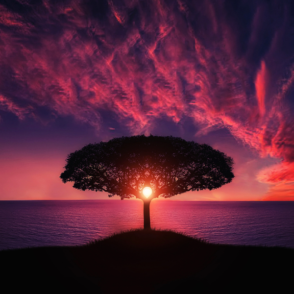 Photographer Bess Hamiti