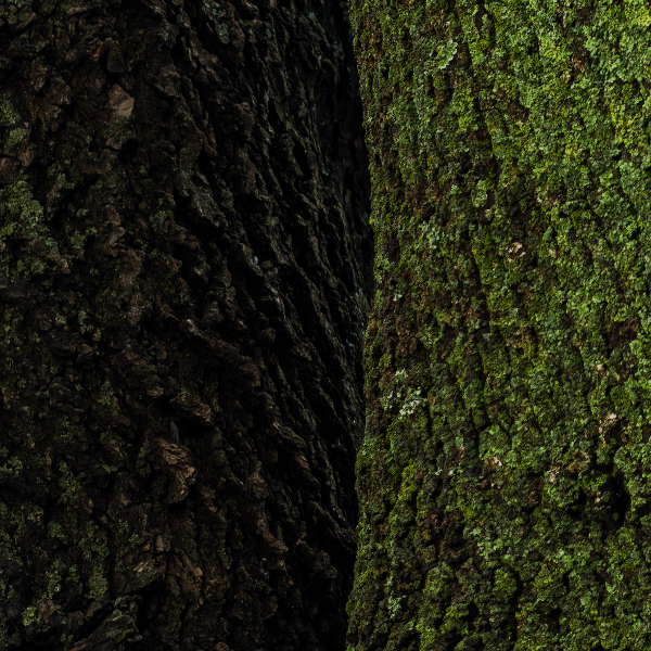 Photographer Anastasia Astakhova