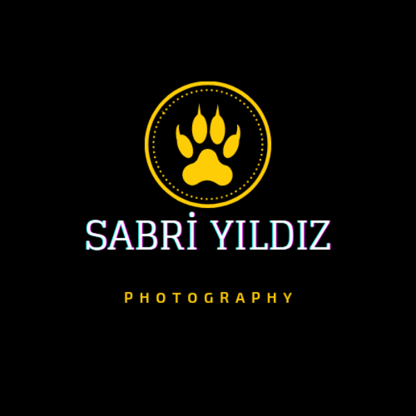 Photographer Sabri Yıldız