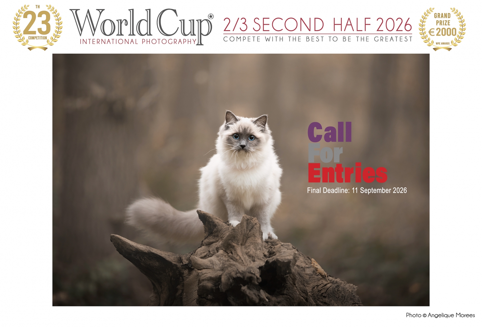 Slider's photo
